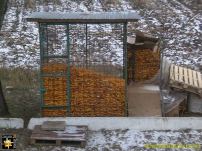 Corn store, AN Warehouse
Keywords: dec16;Warehouses