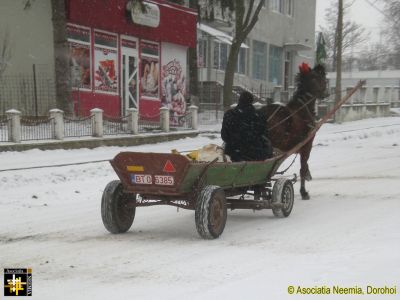 Snow scene
Keywords: feb17