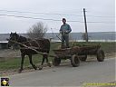 Filename=CIMG2600sw.jpg
Filesize=103KiB
Dimensions=1024x768
Date added=28/Mar/2017 CIMG2600sw.jpg