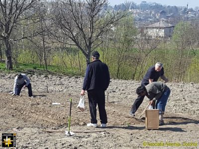 Casa Neemia - vegetable garden
Keywords: apr17;Casa.Neemia