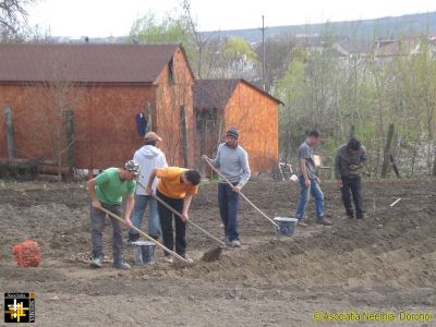 Preparing the vegetable garden - II
Preparing the vegetable garden - the manual version
Keywords: Apr17;Casa.Neemia