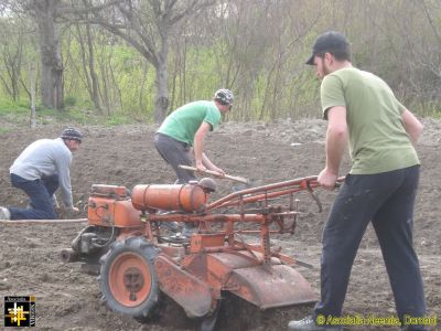 Preparing the vegetable garden
Keywords: Apr17;Casa.Neemia