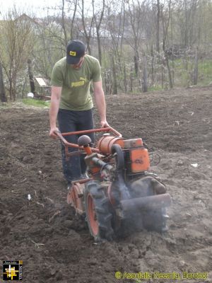Preparing the vegetable garden - I
Preparing the vegetable garden - the mechanised version
Keywords: apr17;Casa.Neemia