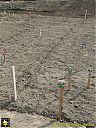 Filename=DSC06976-sw.jpg
Filesize=327KiB
Dimensions=768x1024
Date added=27/Mar/2018 DSC06976-sw.jpg