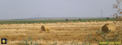 Harvest Time
Keywords: jul17