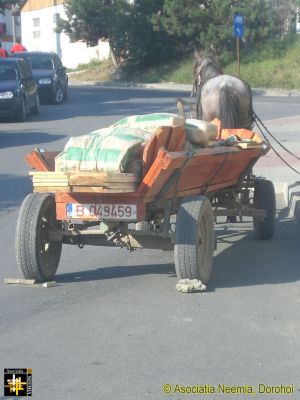 Dorohoi Scene: Bulk Carrier
Horse-drawn transport is making a comeback as the supply of light pickups is dwindling.
Keywords: Aug17