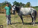 Filename=20170908_121530sw.jpg
Filesize=269KiB
Dimensions=1024x768
Date added=02/Oct/2017 20170908_121530sw.jpg