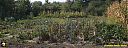 Filename=CIMG2880pw.jpg
Filesize=143KiB
Dimensions=1024x384
Date added=12/Sep/2017 CIMG2880pw.jpg