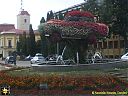 Filename=CIMG2919sw.jpg
Filesize=166KiB
Dimensions=1024x768
Date added=12/Sep/2017 CIMG2919sw.jpg