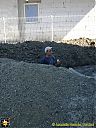 Filename=CIMG2945sw.jpg
Filesize=193KiB
Dimensions=768x1024
Date added=02/Oct/2017 CIMG2945sw.jpg