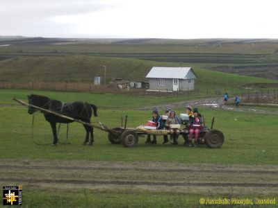 School Bus, Dimacheni
Keywords: Dec17;Dimacheni;scenes