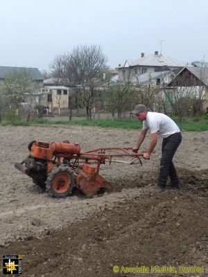 Casa Neemia - Garden Preparation
Keywords: Apr18;Casa.Neemia