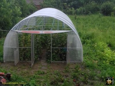 Casa Neemia - Polytunnel
Keywords: jul18;Casa.Neemia;pub1808a