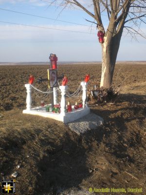 Roadside Memorial
These memorials are placed at the sites of fatal road accidents.  This one is more elaborate than most.
Keywords: feb19;Travel