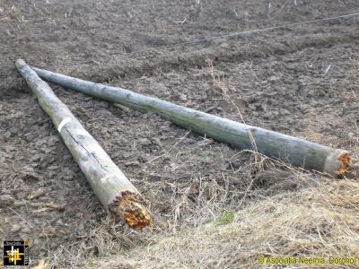 Wind Damage
Keywords: Mar19;Scenes