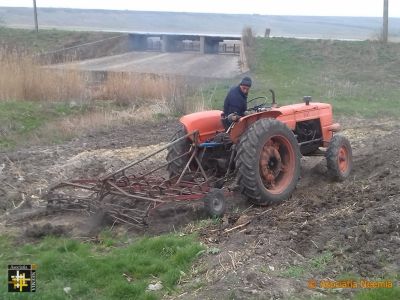 Tilling the Potato Plot
Keywords: Apr19;scenes