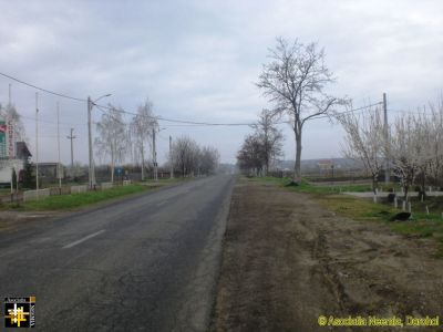 Route 29B, Dealu Mare
Keywords: Apr19;travel;Dealu.Mare