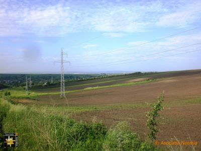 Agricultural Scene
Keywords: may19