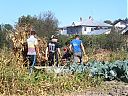 Filename=CIMG3370-s.jpg
Filesize=349KiB
Dimensions=1024x768
Date added=24/Sep/2019 CIMG3370-s.jpg
