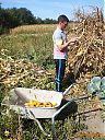 Filename=CIMG3371-sw.jpg
Filesize=505KiB
Dimensions=768x1024
Date added=25/Sep/2019 CIMG3371-sw.jpg