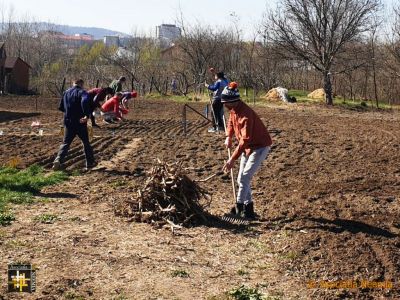 Casa Neemia: Garden Preparation
Keywords: apr20;Casa.Neemia