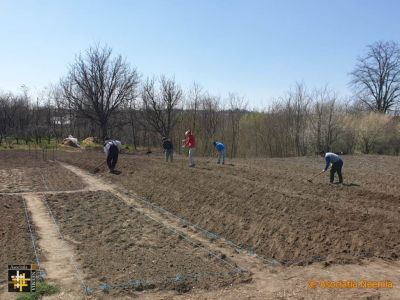 Casa Neemia: Garden Preparation
Keywords: apr20;Casa.Neemia