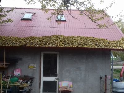 Autumn Leaves
Can be used as mulch for next year's crops
Keywords: nov20