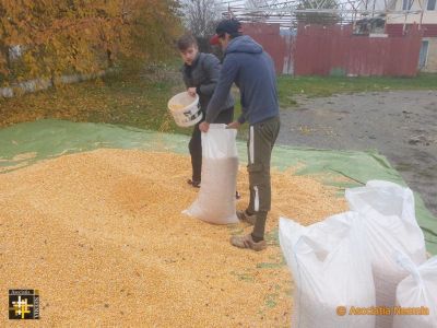 Bagging the Maize
Keywords: nov20;AN-Warehouse;pub2012d;pub2104a