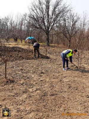 Tending the grounds
Keywords: Apr21;casa.neemia