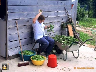 Harvesting Beans
Keywords: jun21;casa.neemia