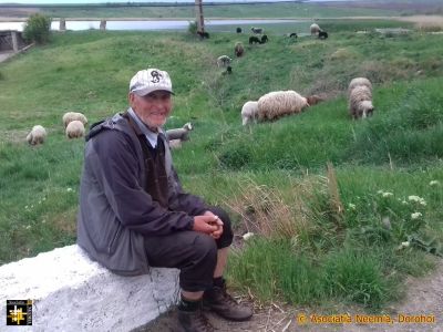 Sheep may safely graze
Keywords: May22;Scenes