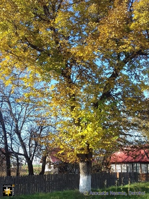 Autumn Colours
Keywords: oct22;scenery