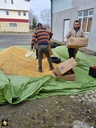Filename=IMG-20230425-WA0008-sw.jpg
Filesize=413KiB
Dimensions=768x1024
Date added=01/May/2023 IMG-20230425-WA0008-sw.jpg