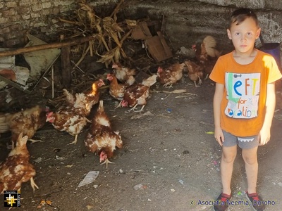 A Donation of Chickens
The Chickens will provide eggs and, in due course, meat for the family. Hopefully the children will learn skills that are still necessary in a rural area.
Keywords: jul23;pub2308a;rpt2023