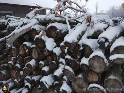 The Time has Come
Winter has arrived, time to get chopping
Keywords: nov23;firewood;pub2312d