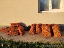 Filename=IMG-20241001-WA0009-sw.jpg
Filesize=268KiB
Dimensions=1024x768
Date added=28/Nov/2024 IMG-20241001-WA0009-sw.jpg