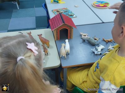 Imitating Noah
New materials at a kindergarten
Keywords: apr25