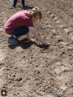 Investing in Onions
Keywords: may25,pub2505m