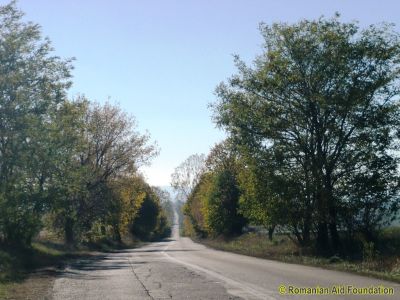 DJ293 Havirna - Dorohoi
DJ293 between Dorohoi and Havirna
Keywords: Oct12;Scenery