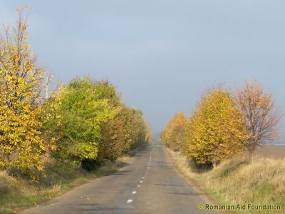 DJ293 Havirna - Dorohoi
Keywords: Oct12;Scenery