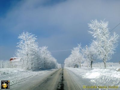 DJ298A Havirna - Darabani
Keywords: Feb14;Scenery