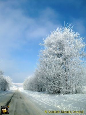 DJ298A Havirna - Darabani
Keywords: Feb14;Scenery