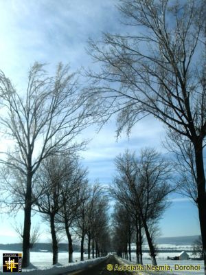 DN29A, Dorohoi - Suceava
Keywords: Feb14;Scenery;DN29A
