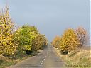 Filename=CIMG0343cw.jpg
Filesize=183KiB
Dimensions=1024x768
Date added=28/Oct/2012 CIMG0343cw.jpg